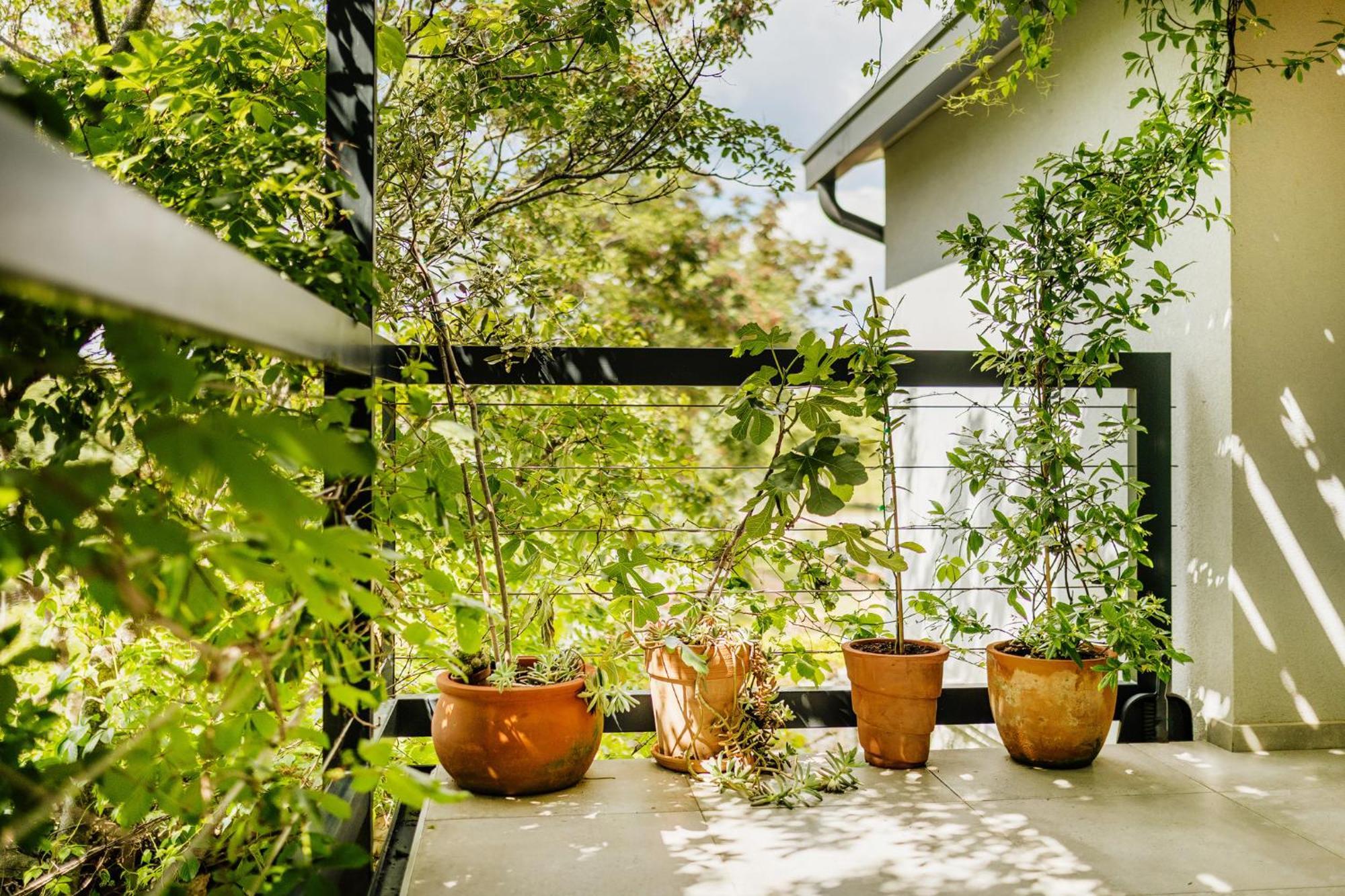 Peroj'S Green Oasis - Holiday Home Eksteriør bilde